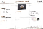 Load image into Gallery viewer, 6.75/CT Natural South Sea Pearl with Govt. Lab Certificate (1550)
