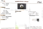 Load image into Gallery viewer, 6.53/CT Natural South Sea Pearl with Govt. Lab Certificate (1550)
