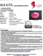 Load image into Gallery viewer, 4.20/CT Natural Mozambique Ruby with Govt. Lab Certificate-RUBY9V
