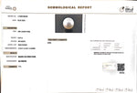 Load image into Gallery viewer, 8.35/CT Natural South Sea Pearl with Govt. Lab Certificate (1550)
