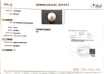 Load image into Gallery viewer, 11.55/CT Natural South Sea Pearl with Govt. Lab Certificate-1550
