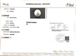 Load image into Gallery viewer, 11.93/CT Natural South Sea Pearl with Govt. Lab Certificate (1550)
