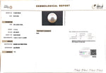 Load image into Gallery viewer, 11.14/CT Natural South Sea Pearl with Govt. Lab Certificate (1550)
