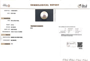 8.43/CT Natural South Sea Pearl with Govt. Lab Certificate (1550)