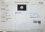 Load image into Gallery viewer, 3.31/CT Natural South Sea Pearl with Govt. Lab Certificate (1550)
