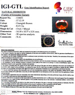 Load image into Gallery viewer, 9.03 Ratti Natural Hessonite with Govt. Lab Certificate-(1221)
