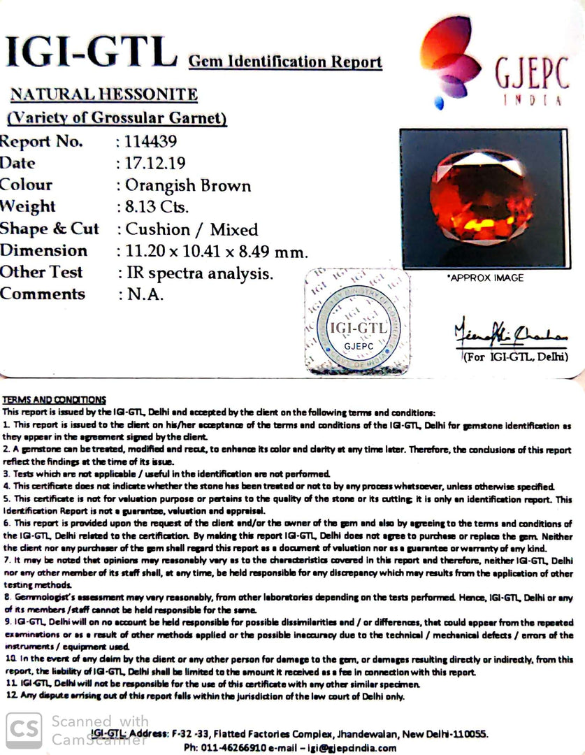 9.03 Ratti Natural Hessonite with Govt. Lab Certificate-(1221)