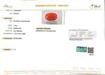 Load image into Gallery viewer, 11.90/Carat Natural Cylindrical Red Coral (2100)
