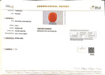 Load image into Gallery viewer, 8.45/Carat Natural Cylindrical Red Coral (2100)
