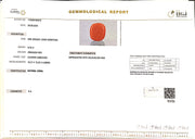 8.45/Carat Natural Cylindrical Red Coral (2100)