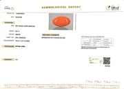 8.61/Carat Natural Japanese Red Coral-6200