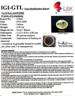 Load image into Gallery viewer, 3.79/CT Natural Ceylonese Pukhraj with Govt Lab Certificate-6771
