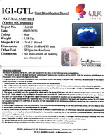 Load image into Gallery viewer, 9.09 Ratti Natural Blue Sapphire with Govt Lab Certificate-(1221)
