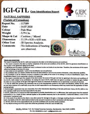 3.91/CT Natural Neelam with Govt Lab Certificate (4551)