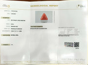 6.88/CT Natural Triangular Red Coral-1800