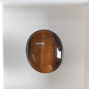 Tiger Eye-(350)