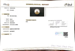 Load image into Gallery viewer, 5.06/CT Natural South Sea Pearl with Govt. Lab Certificate-1550
