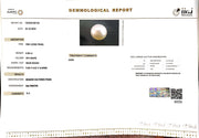 6.86/CT Natural South Sea Pearl with Govt. Lab Certificate-1550