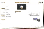 Load image into Gallery viewer, 6.36/CT Natural South Sea Pearl with Govt. Lab Certificate-1550
