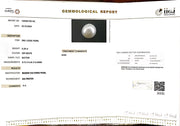 6.28/CT Natural South Sea Pearl with Govt. Lab Certificate-1550