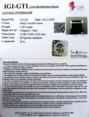 8.42 Ratti Natural Tourmaline With Govt. Lab Certificate-(1221)