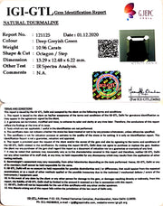 12.16 Ratti Natural Tourmaline With Govt. Lab Certificate-(1221)
