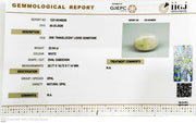 22.04/CT Natural Opal with Govt. Lab Certificate-12214D49536