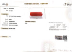 Load image into Gallery viewer, 8.00/Carat Natural Cylindrical Red Coral-1800
