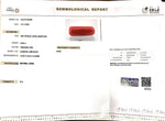 Load image into Gallery viewer, 8.08/Carat Natural Cylindrical Red Coral-1800

