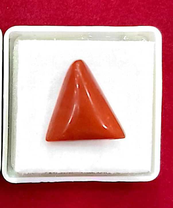 9.68/CT Natural Triangular Red Coral-2500