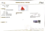 Load image into Gallery viewer, 5.64/CT Natural Triangular Red Coral-1800
