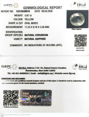 5.87/CT Natural Yellow Sapphire With Govt Lab Certificate-12313D49910