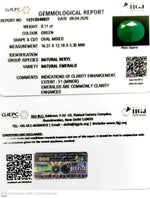 Load image into Gallery viewer, 8.11/CT Natural Panna Stone with Govt. Lab Certificate-12313D49927