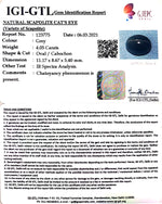 Load image into Gallery viewer, 4.49 Ratti Natural Scapolite Cat&#39;s Eye with Govt. Lab Certified-(1221)
