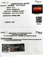 Load image into Gallery viewer, 6.62/CT Natural Red Coral With Govt. Lab Certificate-12377D50199