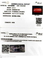 Load image into Gallery viewer, 6.31/CT Natural Red Coral With Govt. Lab Certificate-12377D50200