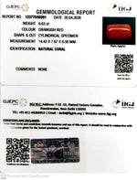 Load image into Gallery viewer, 6.63/CT Natural Red Coral With Govt. Lab Certificate-12377D50201