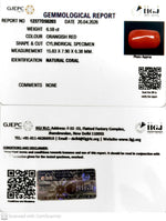 Load image into Gallery viewer, 6.59/CT Natural Red Coral With Govt. Lab Certificate-12377D50203
