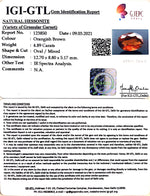 Load image into Gallery viewer, 5.42 Ratti Natural Hessonite with Govt. Lab Certificate-(1221)
