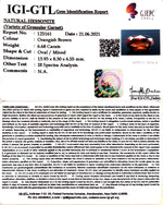 Load image into Gallery viewer, 7.41 Ratti Natural Govt. Lab Certified Ceylonese Gomed-(1221)
