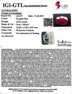 Load image into Gallery viewer, 11.47 Ratti Natural Neo Burma Ruby with Govt. Lab Certificate-(5661)
