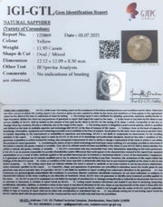11.93/CT Natural Ceylonese Pukhraj with Govt Lab Certificate-4551