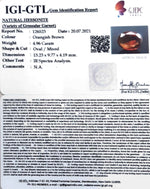 Load image into Gallery viewer, 4.96/CT Natural Govt. Lab Certified Ceylonese Gomed-(1221)
