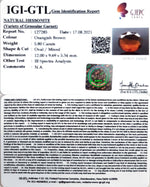 Load image into Gallery viewer, 5.80/CT Natural Govt. Lab Certified Ceylonese Gomed-(1221)
