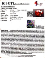 Load image into Gallery viewer, 4.74/CT Natural Govt. Lab Certified Ceylonese Gomed-(1221)
