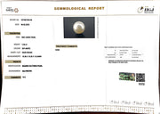 7.94/CT South Sea Pearl with Govt. Lab Certificate-1550