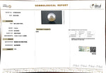Load image into Gallery viewer, 11.24/CT South Sea Pearl with Govt. Lab Certificate-1550
