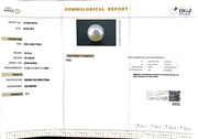 10.18/CT South Sea Pearl with Govt. Lab Certificate-1550