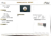 7.91/CT South Sea Pearl with Govt. Lab Certificate-1550