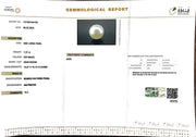 7.27/CT South Sea Pearl with Govt. Lab Certificate-1550